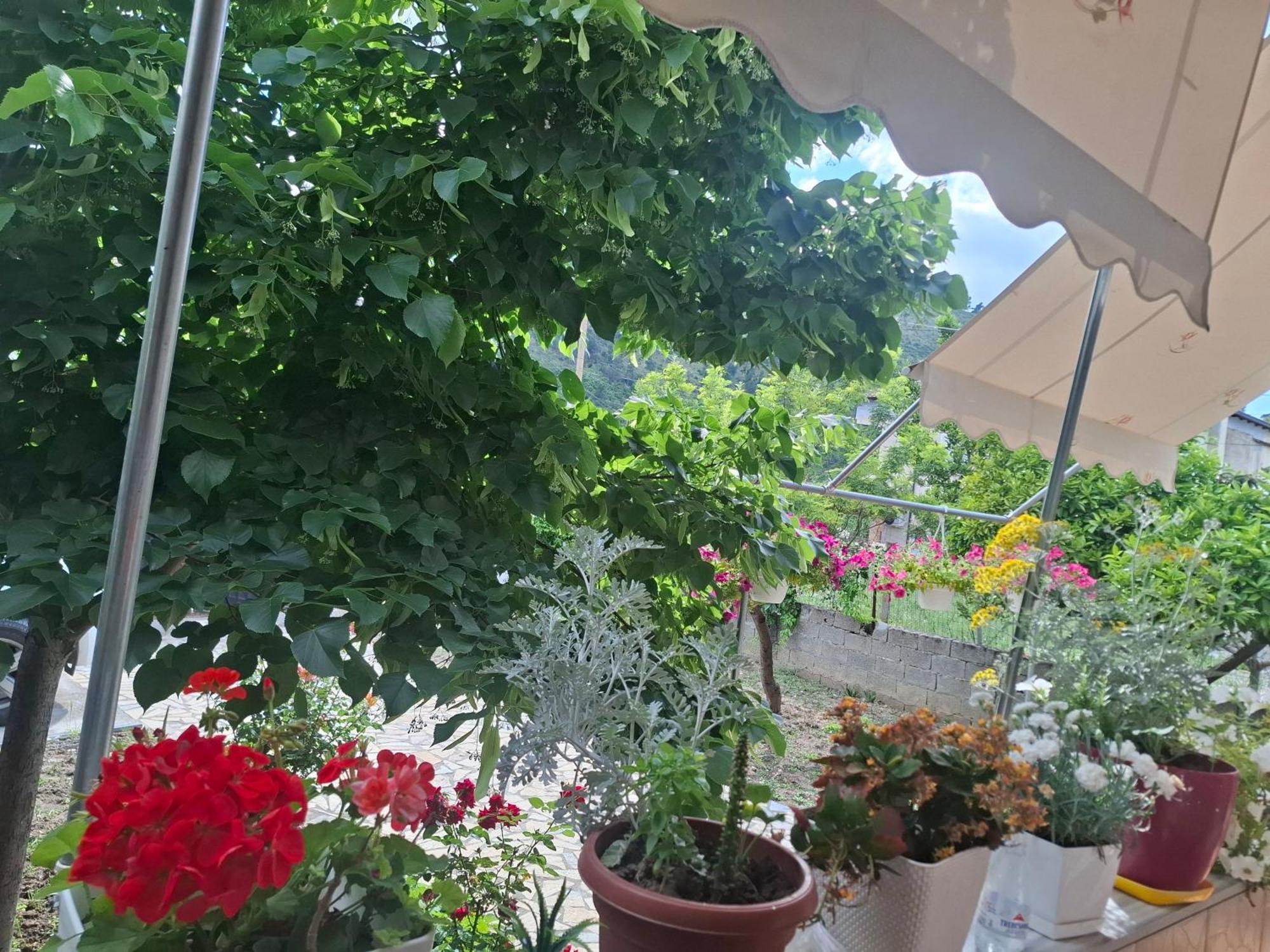 Apartment Xheison ベラト エクステリア 写真